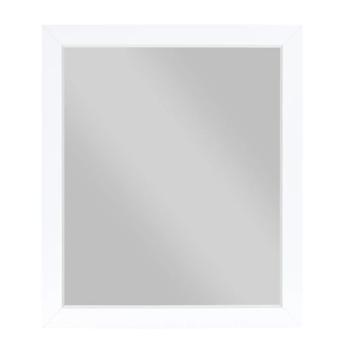 B2012-6 - Mirror