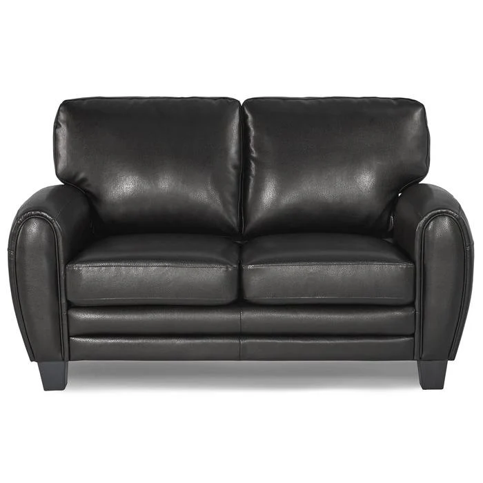 Rubin Loveseat in Black