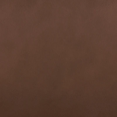 Pincara Power AutoGlide Recliner - Image 4